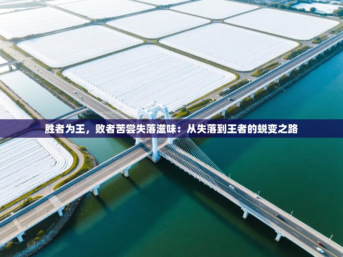 胜者为王，败者苦尝失落滋味：从失落到王者的蜕变之路  第1张